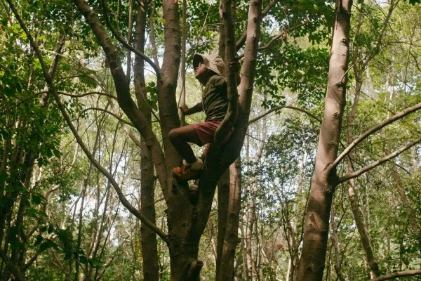 Which Method Is Recommended For Climbing a Tree (1)