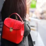 are small backpack in style