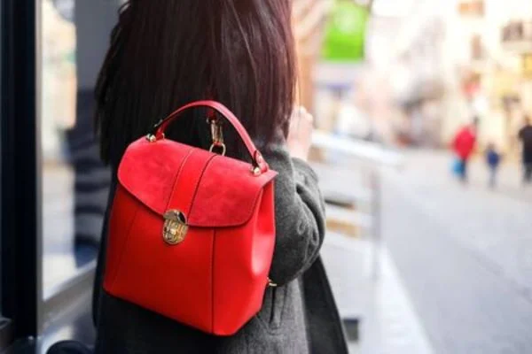 are small backpack in style