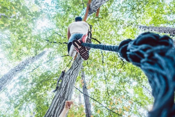 how to climb a tree with rope