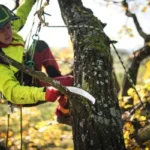 how to make tree climbing spikes