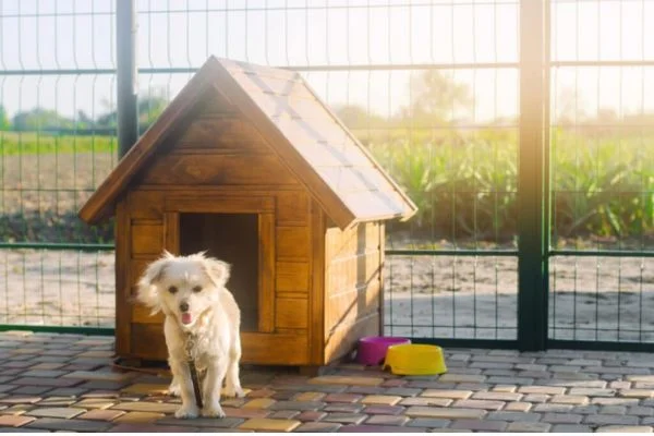 How To Build A Wood Floor For A Dog Kennel
