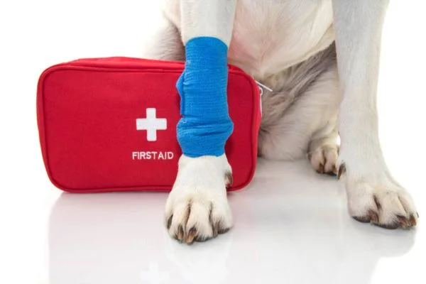 How to reduce swelling from tight bandage dog