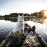 What is the mass of the canoe dog