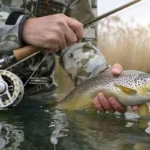 Best Fishing Pole For Trout