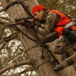 What Is The Best Climbing Tree Stand For Bow Hunting