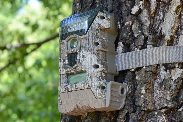 What Is The Best Trail Camera For Deer Hunting