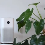 What is the best air purifier for bird owners