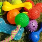 best outdoor dog toys