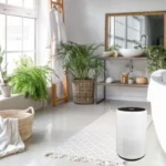 Best Air Purifier For Bathroom
