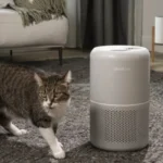 Best Air Purifier For Cat Litter