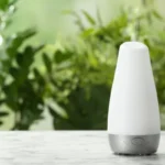 Best Air Purifier To Remove Odors