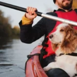 Best Canoe For Dogs