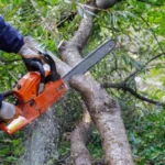 Best Cordless Pruning Saws