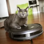 Best Robot Vacuum Cleaners For Pets