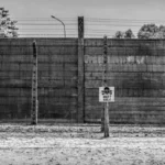 Best Solar Powered Fence Charger