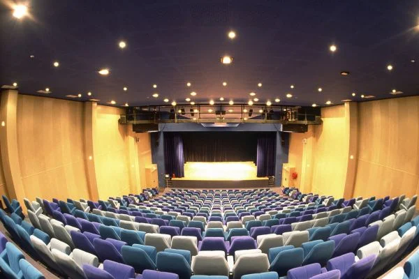 Best Sound System For Auditorium