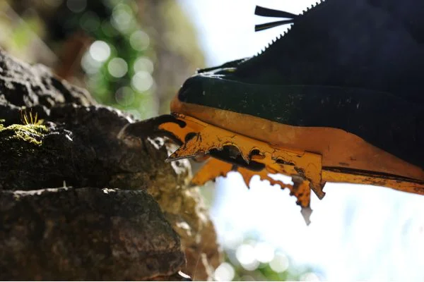 Best Tree Climbing Boots